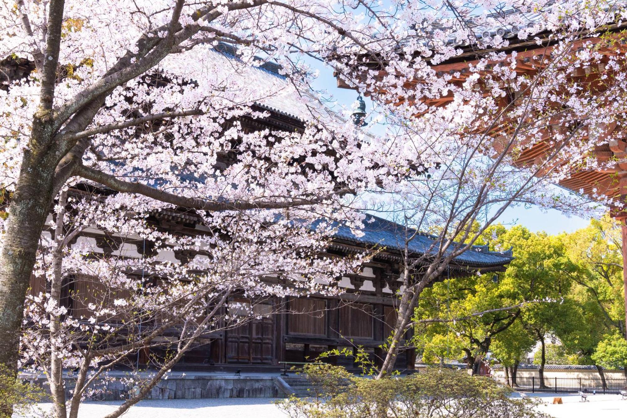 Omo3 Kyoto Toji By Hoshino Resorts Exterior photo